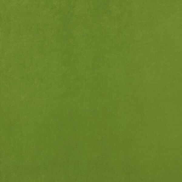 fauteuil bunny _ 366 concept_ fauteuil pieds compas_ velvet _velours vert clair_slavia vintage 2