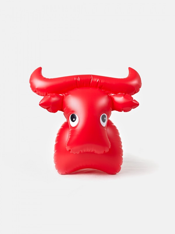 libuse-niklova-fatra-bull-slavia-vintage 2